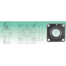 UCF204 ISB ITALY kucista